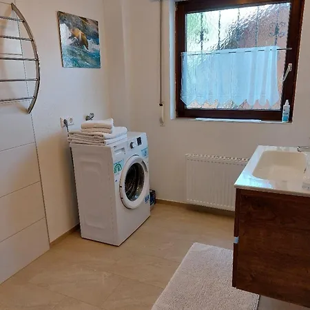 Hibiskus * Leutkirch im Allgäu