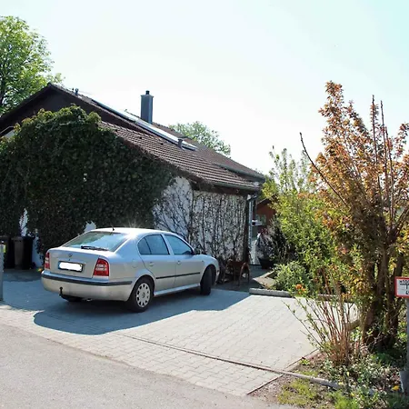 Hibiskus Leutkirch im Allgäu