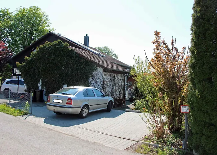 Hibiskus Leutkirch im Allgäu